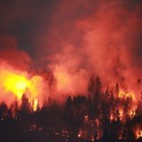 Au 30 juillet, le pays était ravagé par plus de 990 incendies, dont 613 jugés hors de contrôle. À cette date, plus de 12 millions d'hectares ont déjà brûlé cette année, un total bien supérieur à tout ce que le pays a déjà connu.